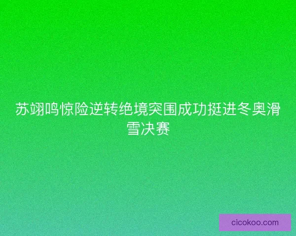苏翊鸣惊险逆转绝境突围成功挺进冬奥滑雪决赛