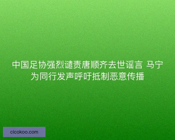 中国足协强烈谴责唐顺齐去世谣言 马宁为同行发声呼吁抵制恶意传播