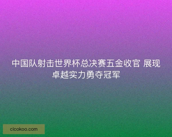 中国队射击世界杯总决赛五金收官 展现卓越实力勇夺冠军