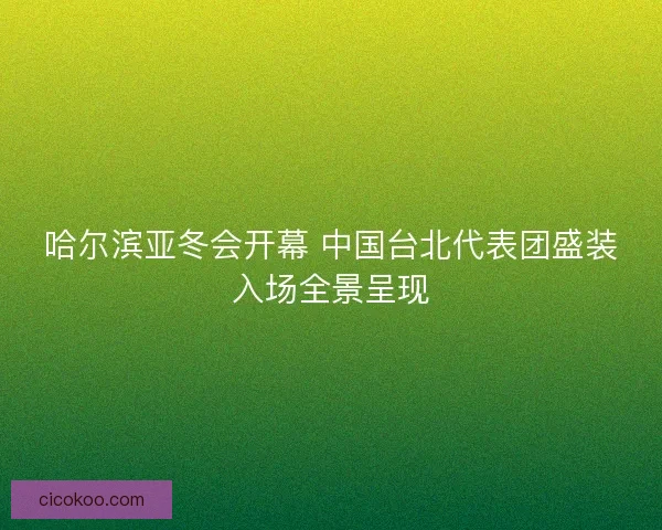 哈尔滨亚冬会开幕 中国台北代表团盛装入场全景呈现