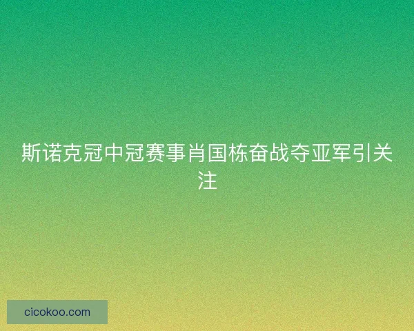 斯诺克冠中冠赛事肖国栋奋战夺亚军引关注