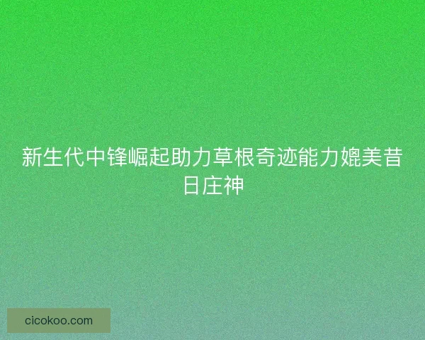 新生代中锋崛起助力草根奇迹能力媲美昔日庄神