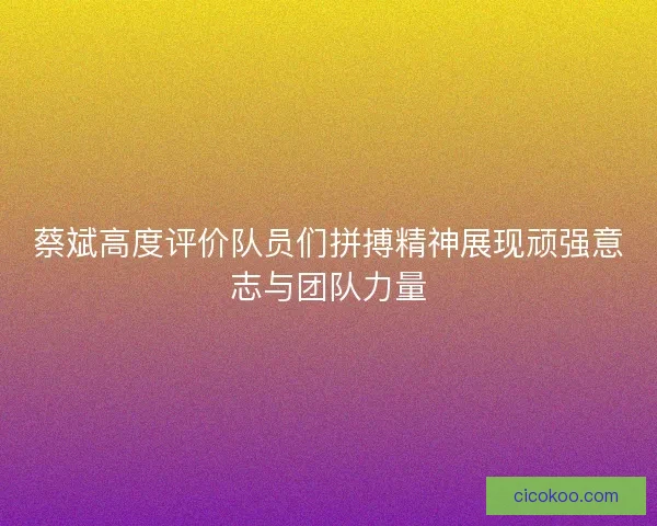 蔡斌高度评价队员们拼搏精神展现顽强意志与团队力量 蔡斌高度评价队员们拼搏精神展现顽强意志与团队力量